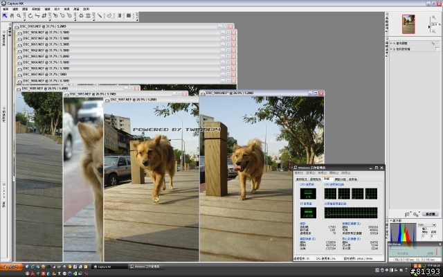 Canon DPP 與 Nikon NX 分頁檔使用量比較