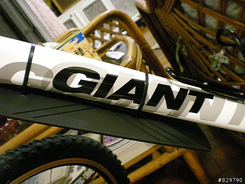 終於買了...GIANT IGUANA DISC 08