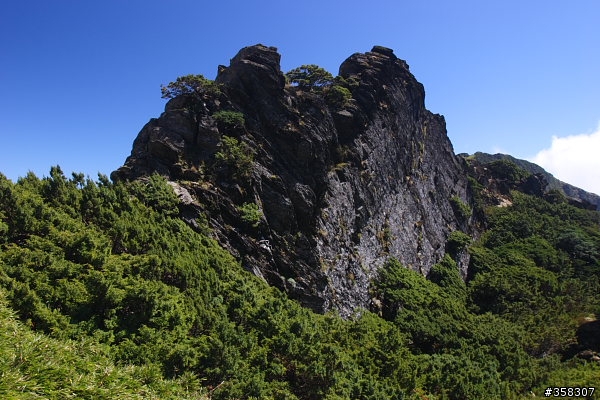 合歡山主峰