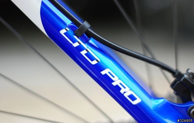 本土新秀,來勢洶洶~"DORCUS LTD PRO 海豚車"