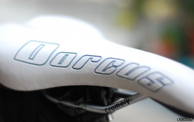 本土新秀,來勢洶洶~"DORCUS LTD PRO 海豚車"