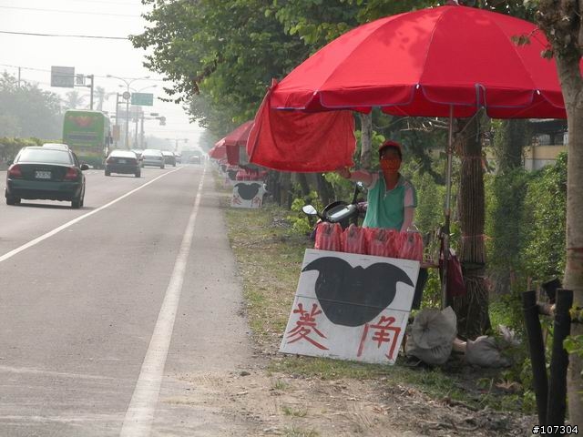 老婆不在家之-身騎白馬台東二日遊(圖片全數上傳完畢)