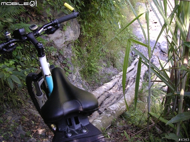 離開都市叢林與柏油路面,來去騎林道吧(一)之羅山林道南線