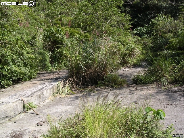 離開都市叢林與柏油路面,來去騎林道吧(一)之羅山林道南線