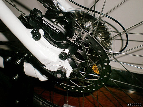 終於買了...GIANT IGUANA DISC 08