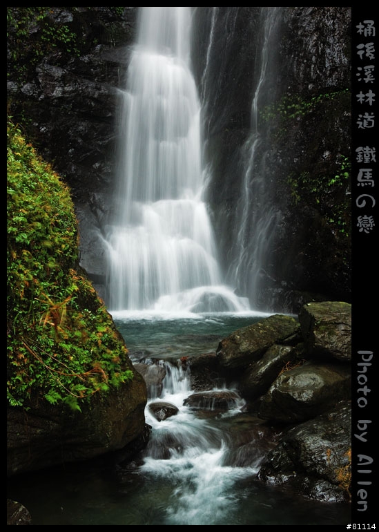 桶後溪林道~逍遙遊