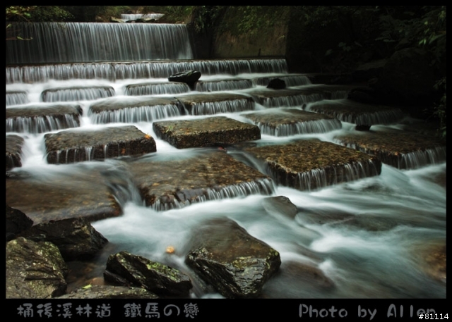 桶後溪林道~逍遙遊