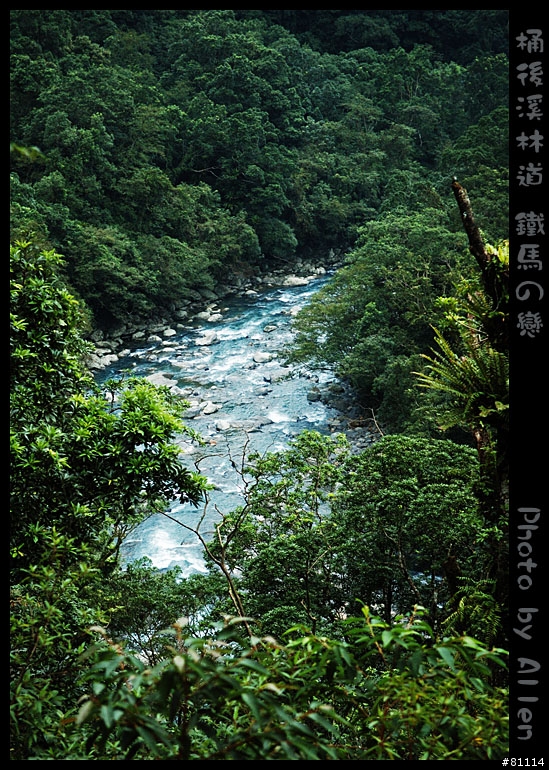 桶後溪林道~逍遙遊