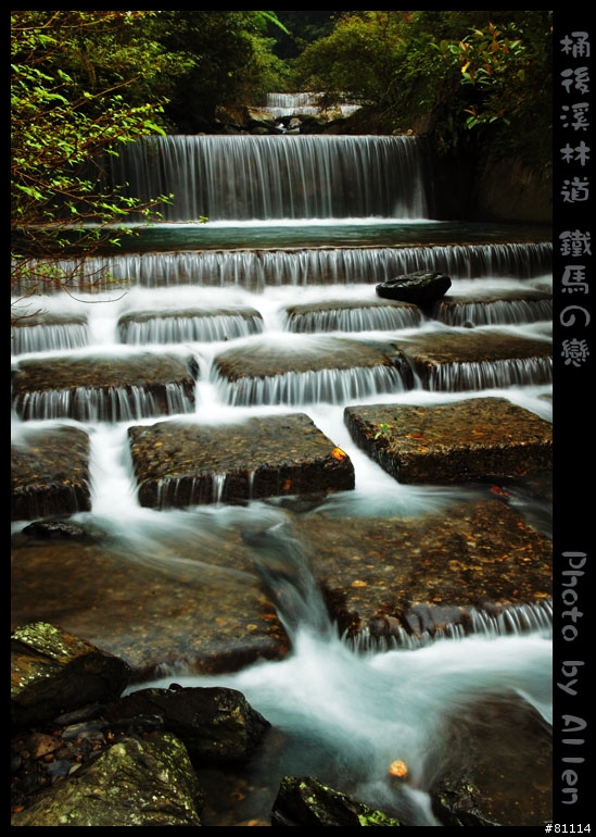 桶後溪林道~逍遙遊