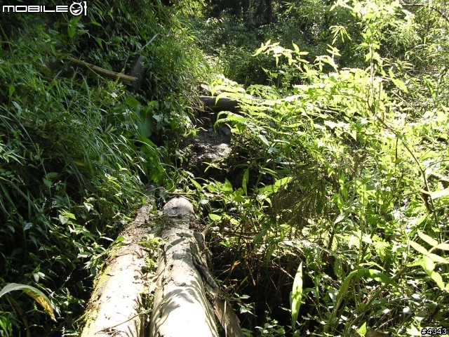 離開都市叢林與柏油路面,來去騎林道吧(一)之羅山林道南線