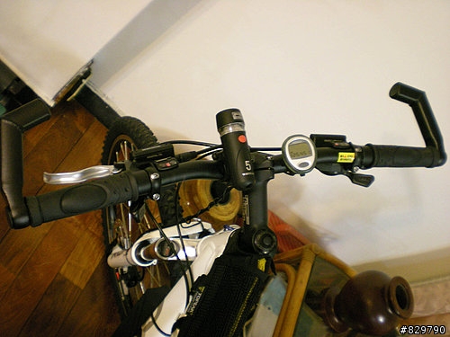 終於買了...GIANT IGUANA DISC 08