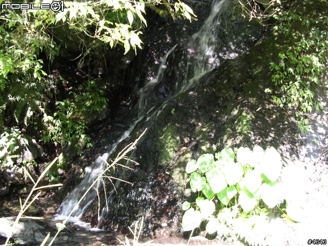 離開都市叢林與柏油路面,來去騎林道吧(一)之羅山林道南線
