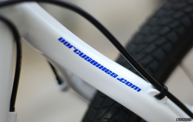 本土新秀,來勢洶洶~"DORCUS LTD PRO 海豚車"