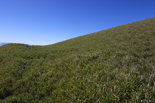 合歡山主峰