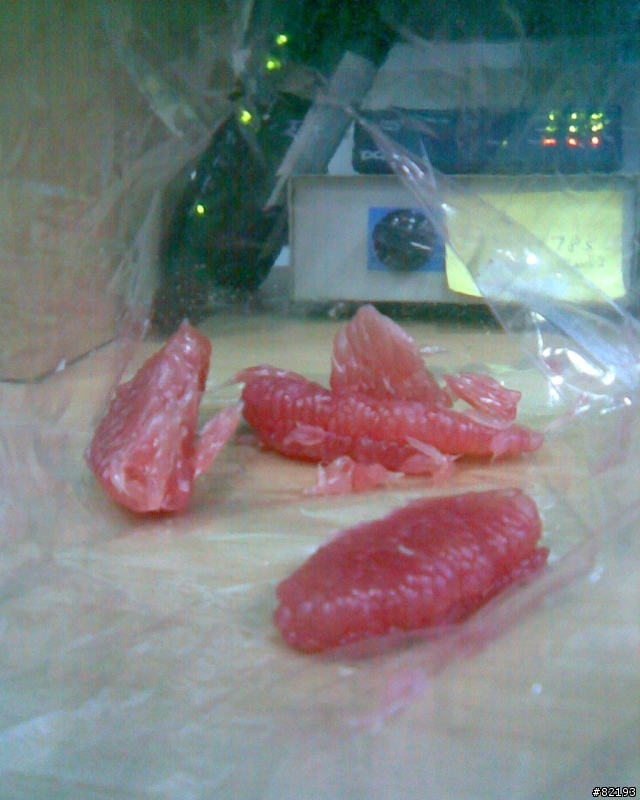 天堂般的滋味...夢幻傳說中的紅文旦..