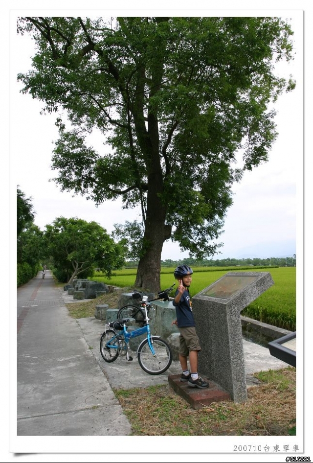 後山台東,龍田、關山、台東琵琶湖、海濱公園、馬蘭舊站自行車道單車之旅照片分享