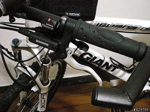 終於買了...GIANT IGUANA DISC 08