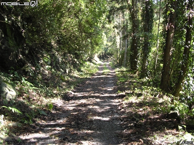 離開都市叢林與柏油路面,來去騎林道吧(一)之羅山林道南線