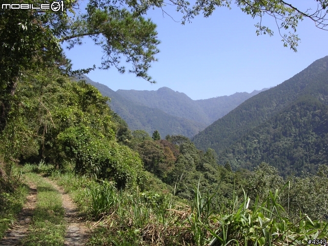 離開都市叢林與柏油路面,來去騎林道吧(一)之羅山林道南線