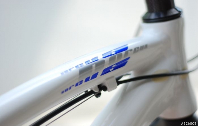 本土新秀,來勢洶洶~"DORCUS LTD PRO 海豚車"