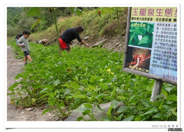 後山台東,龍田、關山、台東琵琶湖、海濱公園、馬蘭舊站自行車道單車之旅照片分享