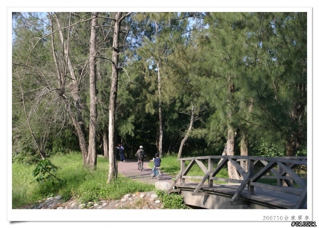 後山台東,龍田、關山、台東琵琶湖、海濱公園、馬蘭舊站自行車道單車之旅照片分享