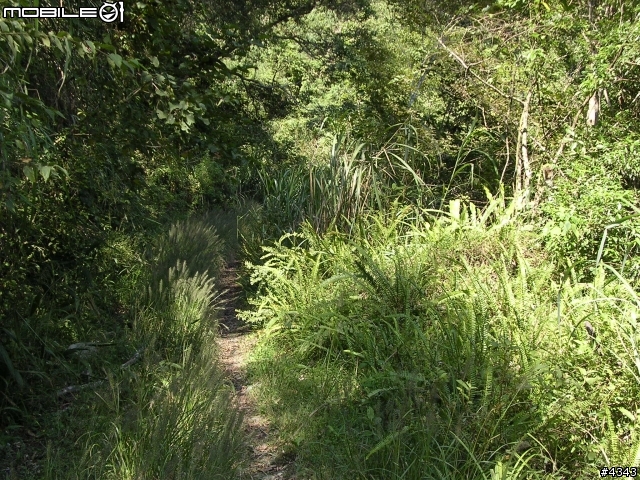 離開都市叢林與柏油路面,來去騎林道吧(一)之羅山林道南線
