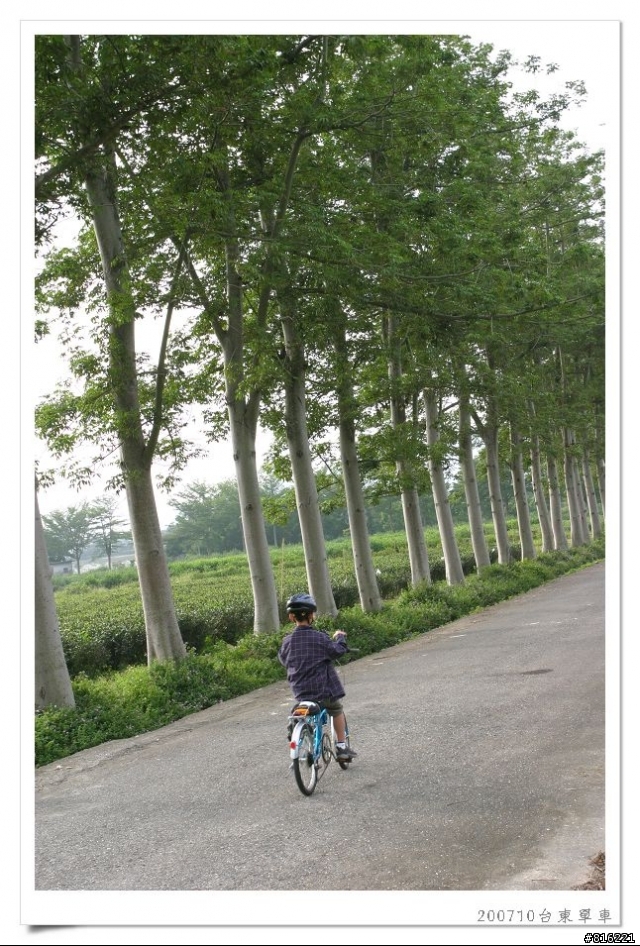 後山台東,龍田、關山、台東琵琶湖、海濱公園、馬蘭舊站自行車道單車之旅照片分享