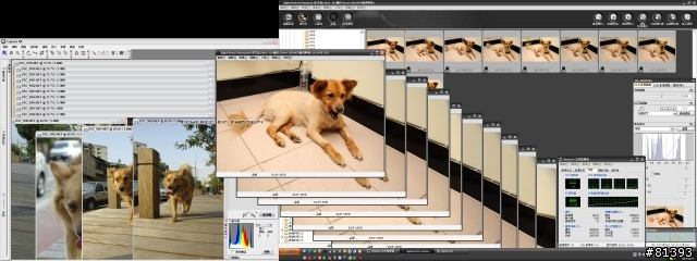 Canon DPP 與 Nikon NX 分頁檔使用量比較
