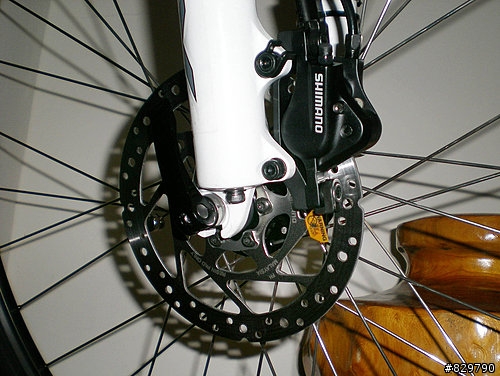 終於買了...GIANT IGUANA DISC 08