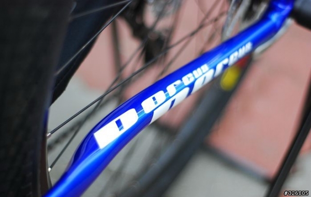 本土新秀,來勢洶洶~"DORCUS LTD PRO 海豚車"