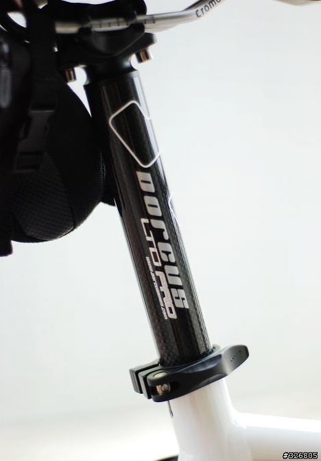 本土新秀,來勢洶洶~"DORCUS LTD PRO 海豚車"