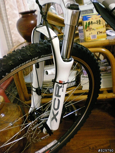 終於買了...GIANT IGUANA DISC 08