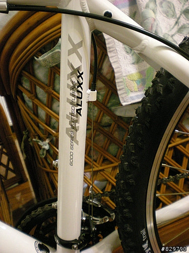 終於買了...GIANT IGUANA DISC 08