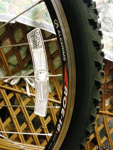 終於買了...GIANT IGUANA DISC 08