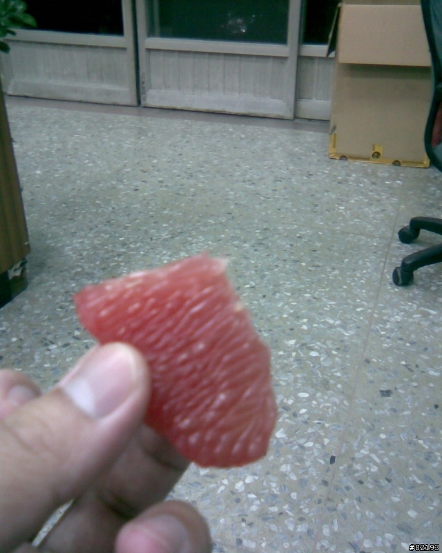 天堂般的滋味...夢幻傳說中的紅文旦..
