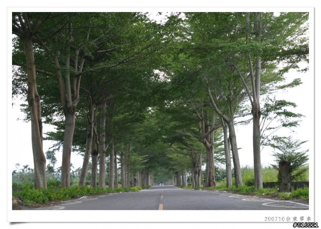 後山台東,龍田、關山、台東琵琶湖、海濱公園、馬蘭舊站自行車道單車之旅照片分享