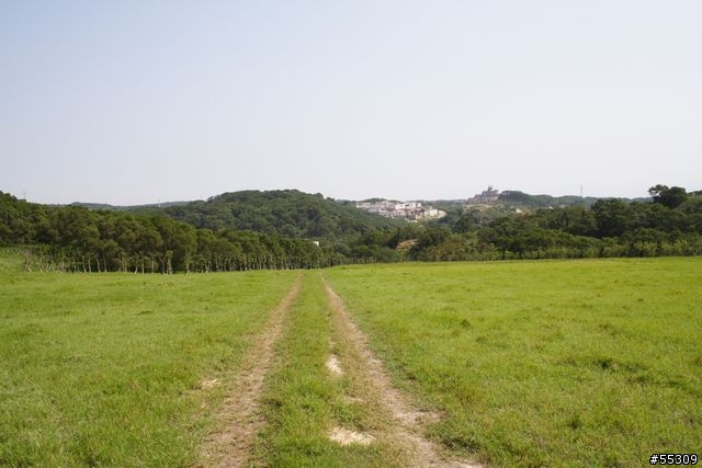 香山青青草原