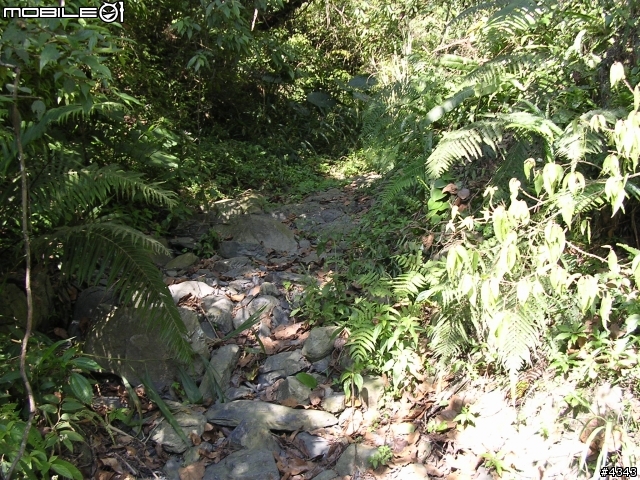 離開都市叢林與柏油路面,來去騎林道吧(一)之羅山林道南線
