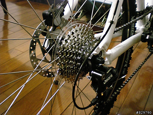 終於買了...GIANT IGUANA DISC 08