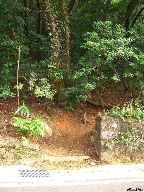 阿昌林道迷路行