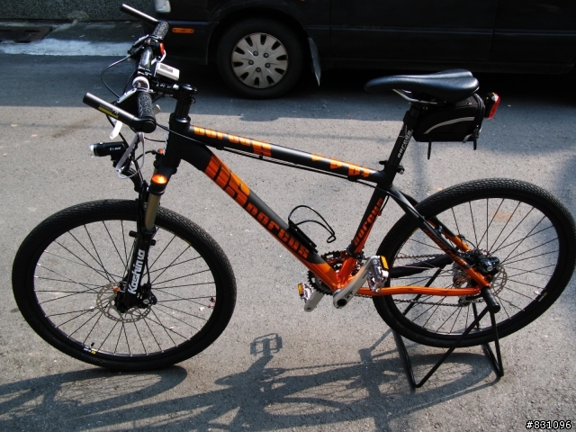 DORCUS LTD PRO 黑橘入手