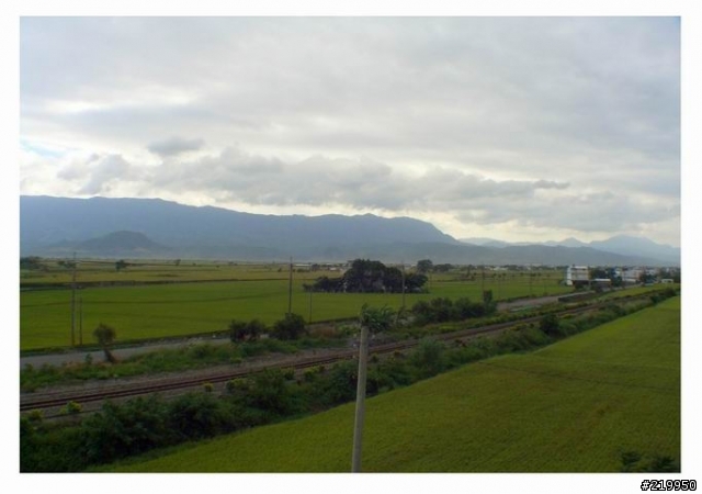 慘絕人寰小折環島 之 東北季風 <上> (內容過於血腥,不喜者勿入)