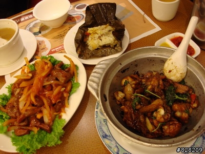 貍貓食記 - 威秀娃娃介紹京星加鼎王