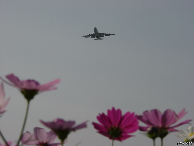 南崁-->大園溪海花卉區-->桃園高鐵站-->南崁,單車輕鬆行