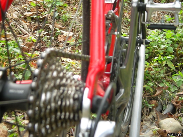 觀音騎至數馬天空