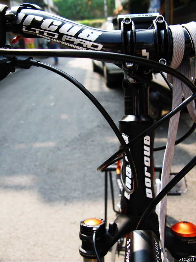 DORCUS LTD PRO 黑橘入手
