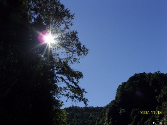 特富野步道自忠段—絕對輕鬆的芬多精之旅