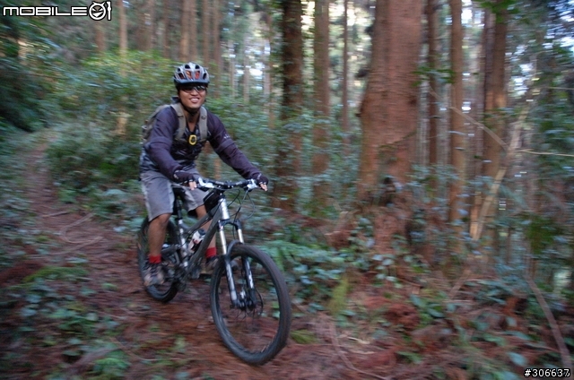 20071111漫遊司馬限與盡尾山林道