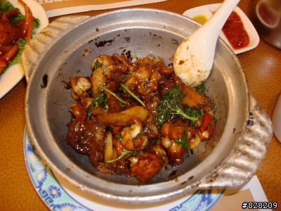 貍貓食記 - 威秀娃娃介紹京星加鼎王
